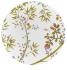 American dinner plate white background - Raynaud